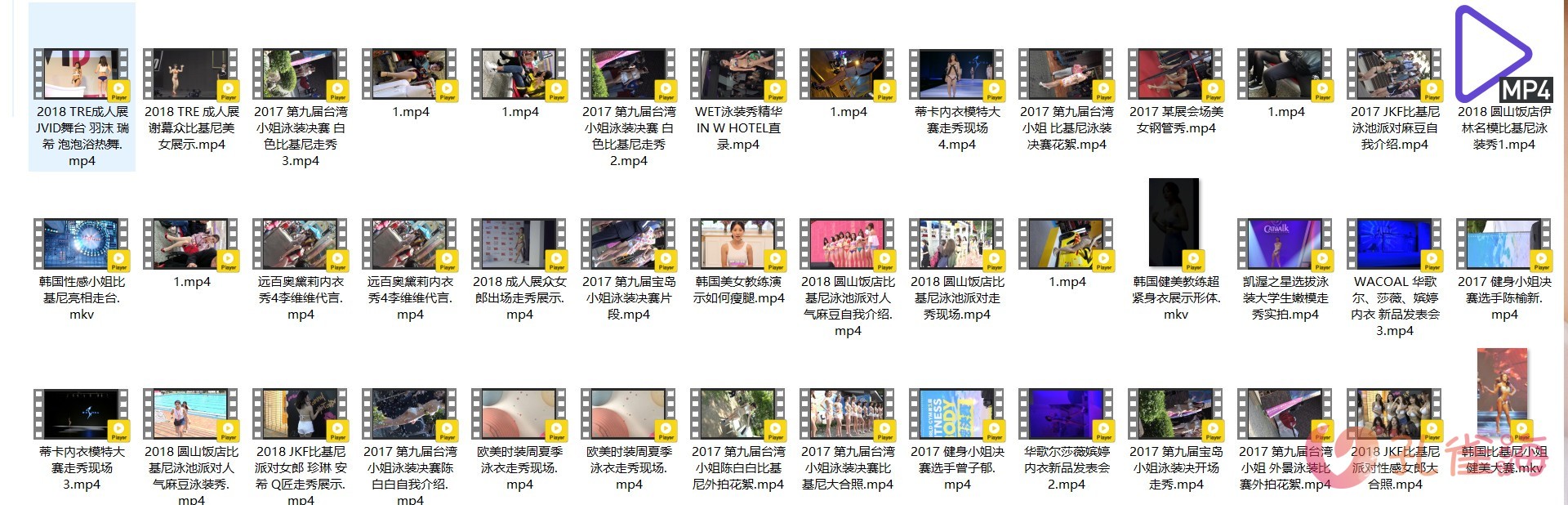 精选模特 明星（韩国女团/韩国车展车模/JKF比基尼派/钢管秀/成人展/内衣秀/时装秀/街拍视频）高清视频合集 共117套写真写真视频[33.60G]-花园的秘密