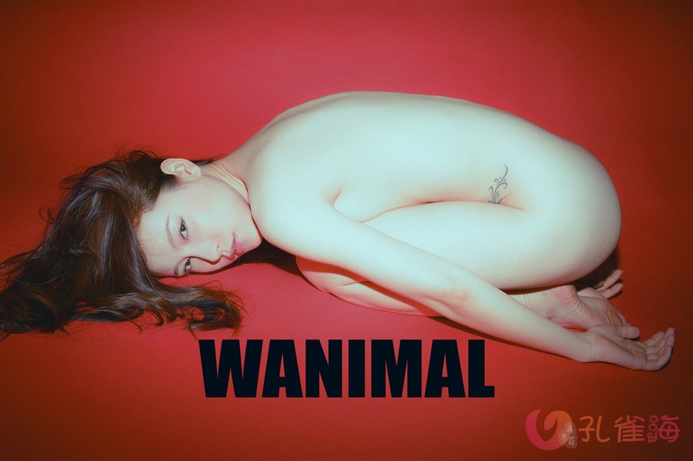 [合集]珍藏写真《WANIMAL王动》系列全套包含高清视频和套图，大小75.2G-花园的秘密